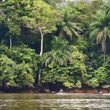 Safari Gabon
