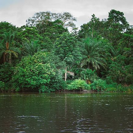 Safari Gabon