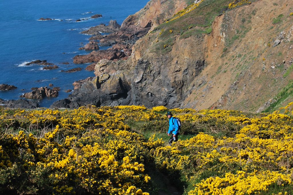 Image Randonnée Iles Anglo-Normandes - Île de Guernesey - Île de Jersey - île de Sark