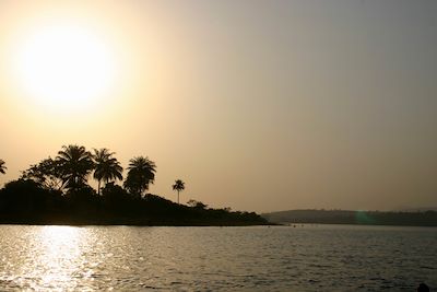 © Cecile Fraioli - Kindia - Guinée Kindia - Guinée