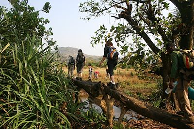 Fouta Djalon - Guinée