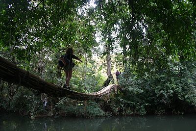 Voyage Trek en pays Soussou et contrefort du Fouta-Djalon 3