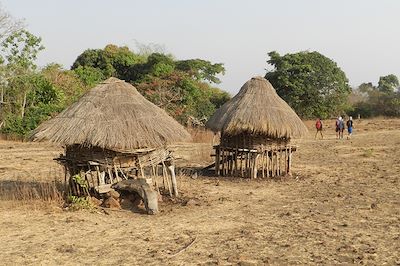© Mabrouk Hamrit - Plateau du Fouta Djalon - Guinée Plateau du Fouta Djalon - Guinée