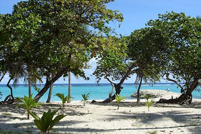 Plage de la Feuillère - Marie Galante - Guadeloupe