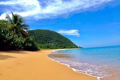 Plage de Grande-Anse - Basse-Terre - Guadeloupe - France