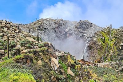 © Laurence Barret - Volcan La Soufrière - Guadeloupe Volcan La Soufrière - Guadeloupe