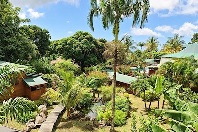 © Laurence Barret - Votre hébergement à Saint-Claude - Guadeloupe Votre hébergement à Saint-Claude - Guadeloupe