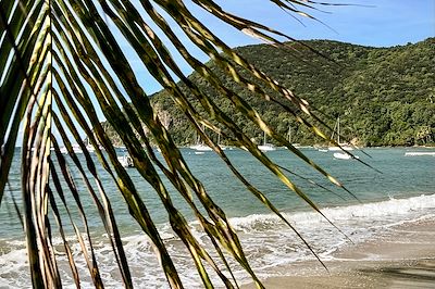 Plage de Guadeloupe 
