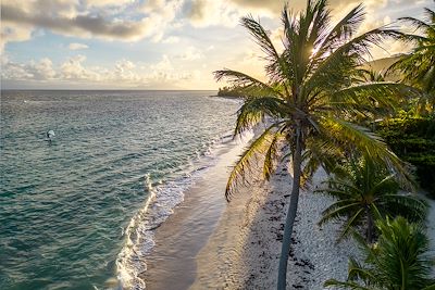 Plage - Guadeloupe 