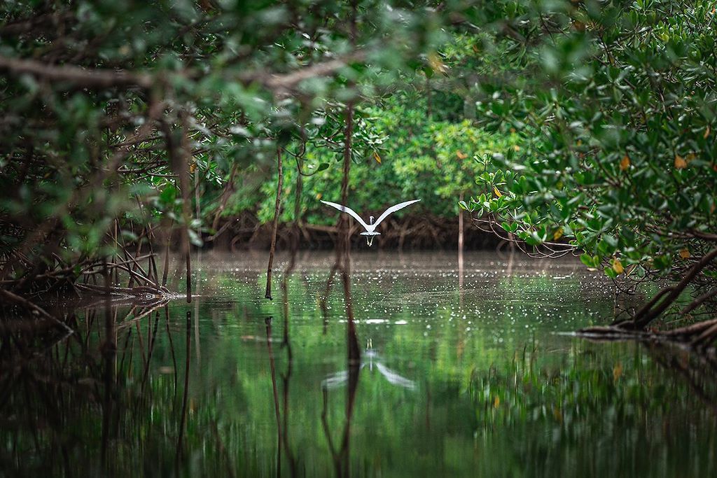 Image RANDONNEE ANTILLES - RANDONNEE CARAIBES - RANDONNEE GUADELOUPE