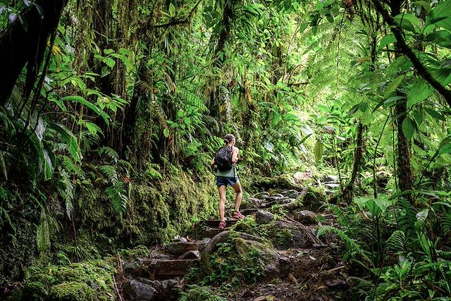 Voyage L'île Papillon en toute liberté