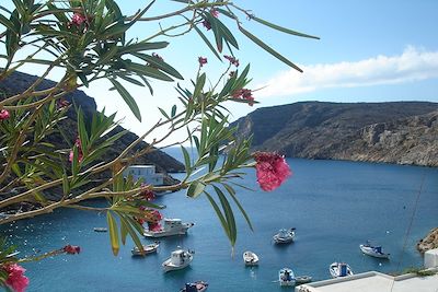 © Julie Afsa - Herronissos - Sifnos - Grèce Herronissos - Sifnos - Grèce