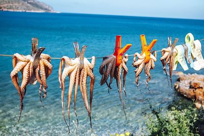 Séchage de la pieuvre au soleil - Crète - Grèce