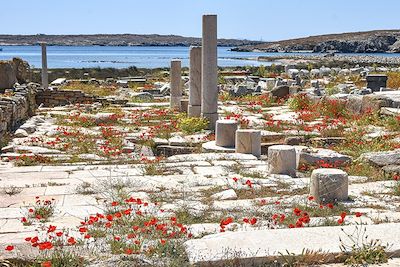 Cité antique de Délos - Cyclades - Grèce