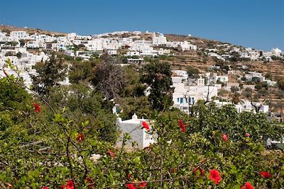 Sifnos - Cyclades - Grèce