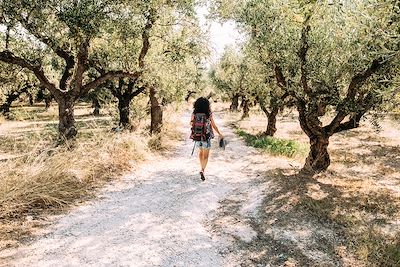 Randonnée dans une oliveraie 