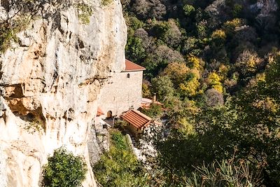 Gorge de Lousios - Grèce