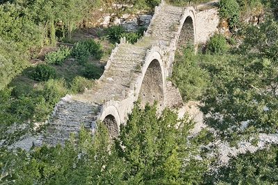 Le pont Plakidas près de Kipoi (kipi) et Koukouli dans la région de Zagori - Epire - Grèce
