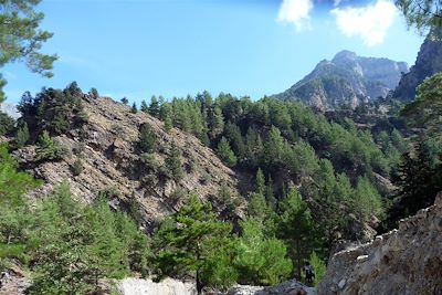 © Julien Paturaud - Gorge de Samaria - Crète - Grèce Gorge de Samaria - Crète - Grèce