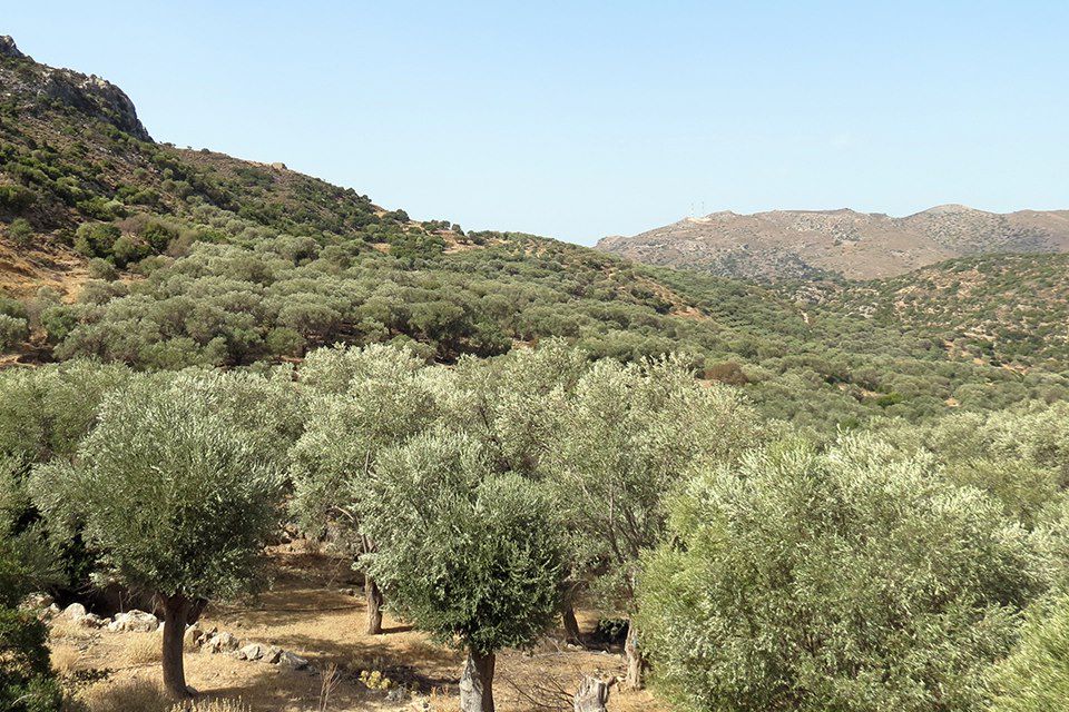Image Randonnée Crète – Randonnée Gorges de Samaria