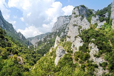 © sneska / iStock - Gorges d'Enipeas - Olympe - Grèce Gorges d'Enipeas - Olympe - Grèce