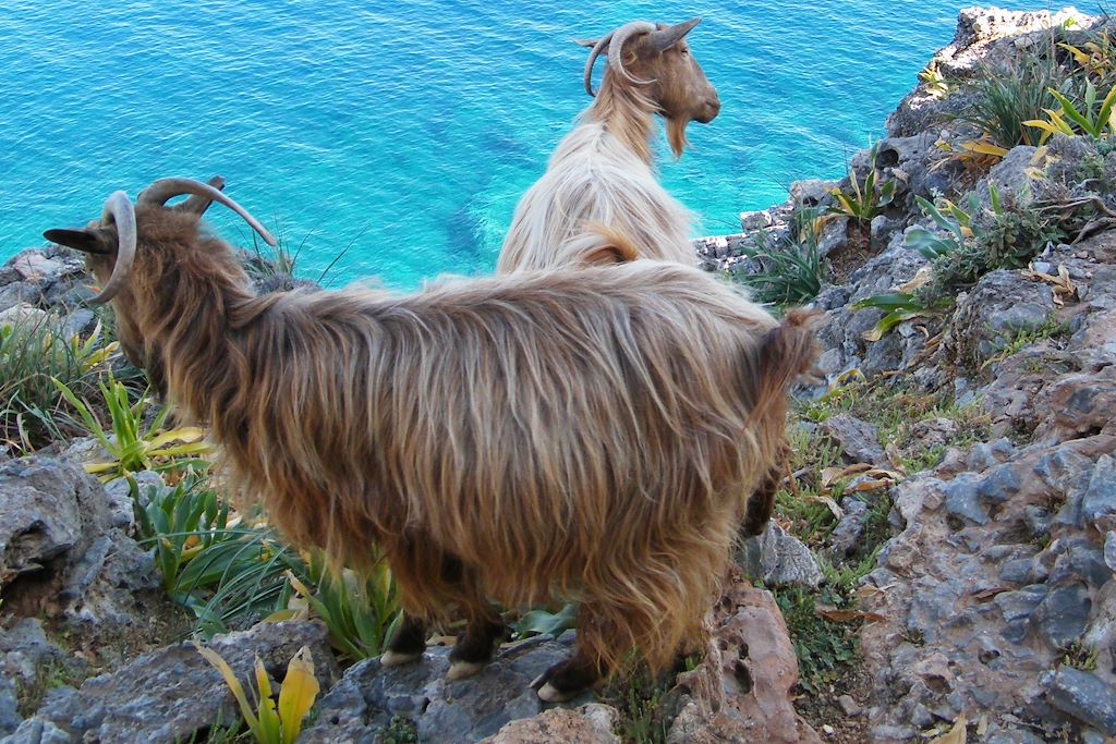 Image Randonnée En Crete - Randonnée De Loutro À Paléochora - Randonnée Dans Les Gorges De Samaria