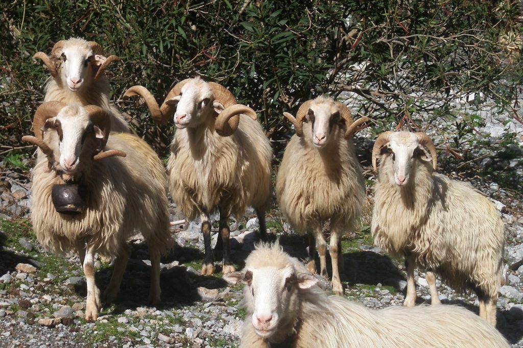 Image Randonnée En Crete - Randonnée De Loutro À Paléochora - Randonnée Dans Les Gorges De Samaria