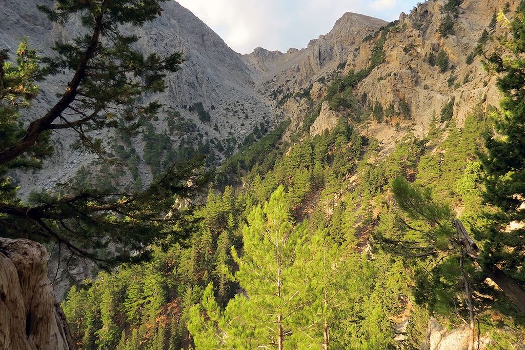 Image Randonnée en Crète - Gorges de Samaria
