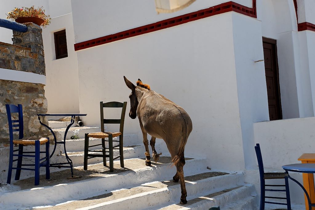 Image Randonnée Cyclades – Randonnée Naxos – Randonnée Amorgos