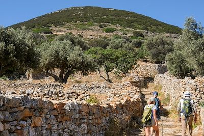Ile de Sifnos - Cyclades - Grèce