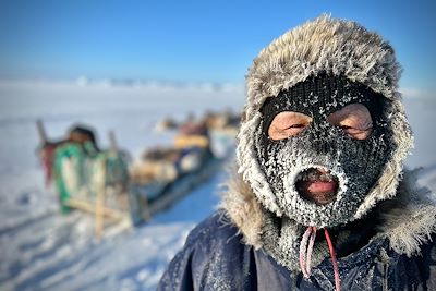 © Nicolas Dubreuil - Musher - Groenland Musher - Groenland