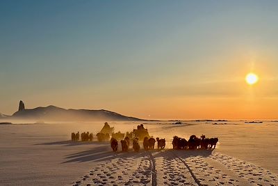© Nicolas Dubreuil - Chiens traîneau au coucher de soleil - Groenland Chiens traîneau au coucher de soleil - Groenland
