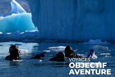 Plongée sous les glaces du fjord Sermilik