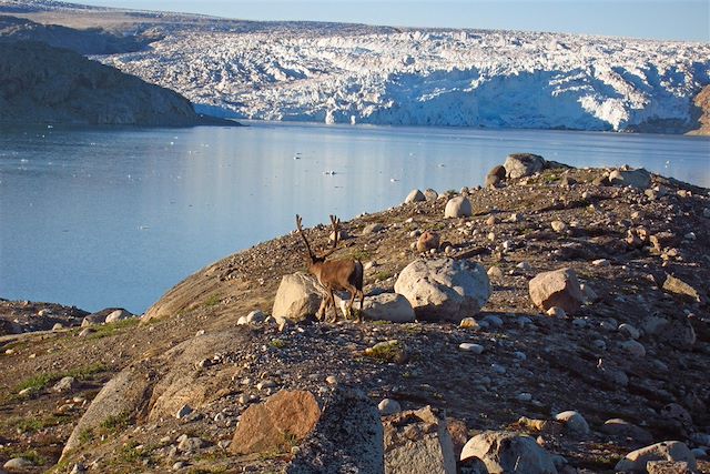 Voyage : Expédition en kayak dans le fjord de Tasermiut Voyage Expédition en kayak dans le fjord de Tasermiut