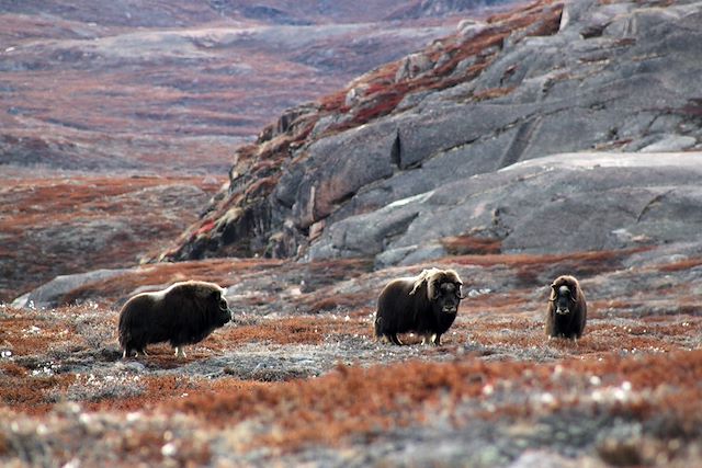 Voyage Sur les traces du Commandant Jean-Baptiste Charcot