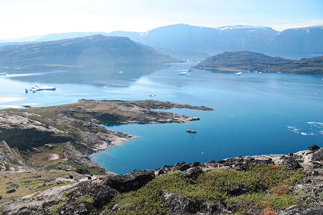 Voyage Observation des cétacés en Baie de Disko