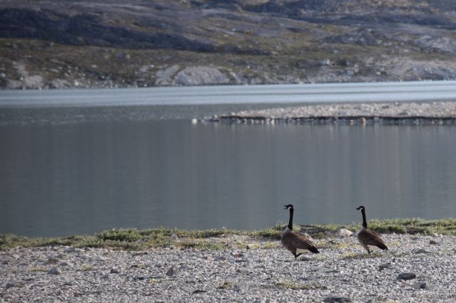 Image Dans les pas de Paul-Emile Victor au Groenland