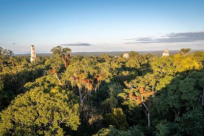 Tikal - Guatemala