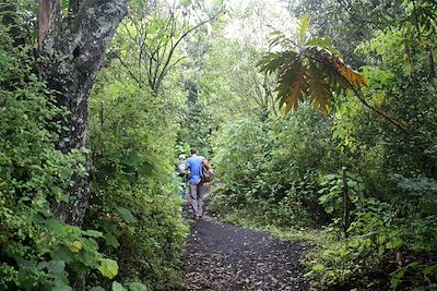 Randonnée vers le sommet du volcan Pacaya - Guatemala