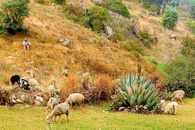Trek Guatemala