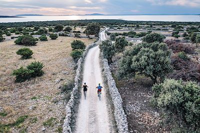 Vélo le long des champs de Kolan - Croatie 