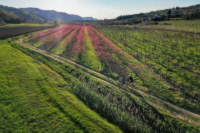 Voyage L'Istrie à vélo, charmes et secrets de Croatie