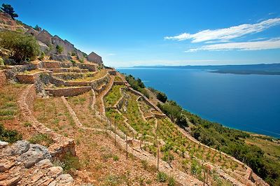 © Mario Hlaca / ONT Croatie - Brac - Croatie Brac - Croatie