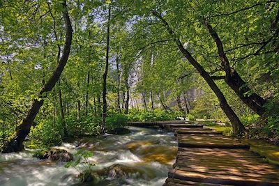 Parc de Plitvice - Croatie