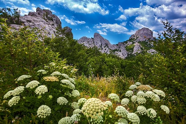 Voyage : Les Alpes dinariques par les crêtes Voyage Les Alpes dinariques par les crêtes