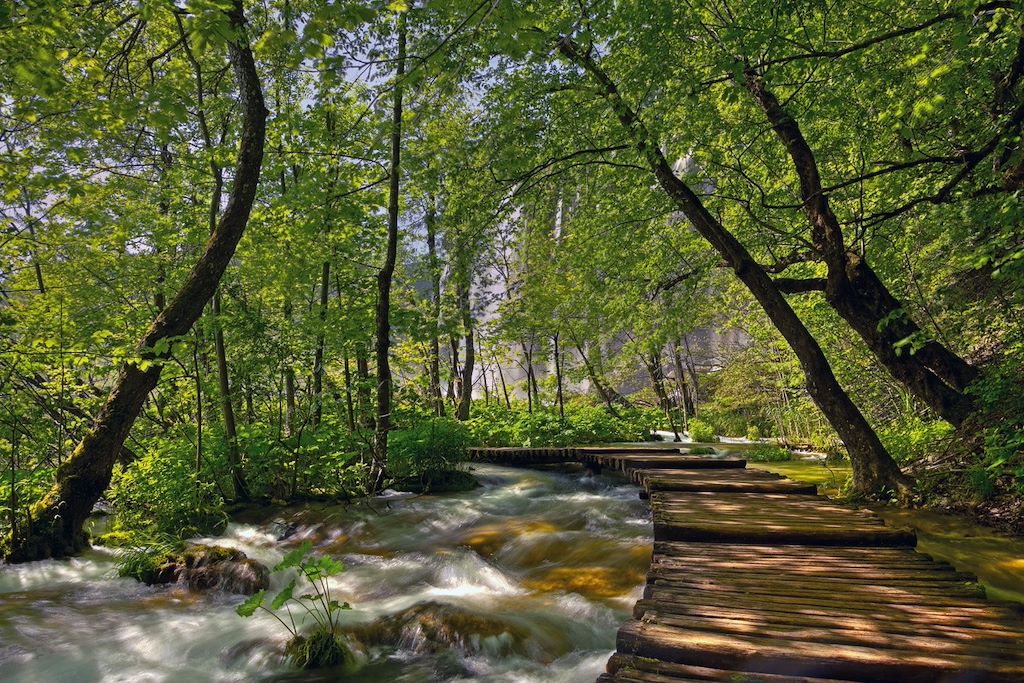 Image Randonnée Plitvice - Split - Dubrovnik - Krka