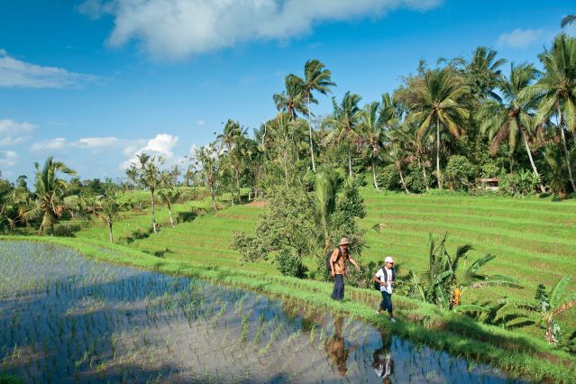 Voyage à pied : Indonésie : Rizières de Bali et Nusa Penida
