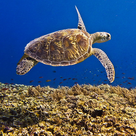 Voyage Lombok