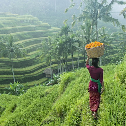Trek Indonésie Bali