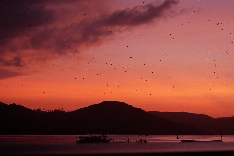 Voyage Croisière dans l'archipel de Komodo 3